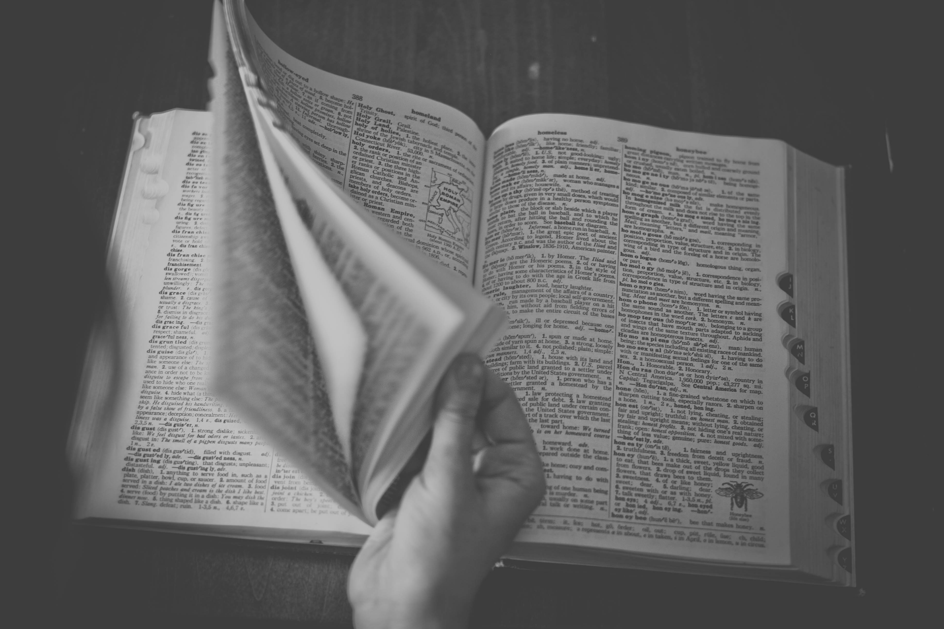 Dictionary Definitions 打开书和字典条目