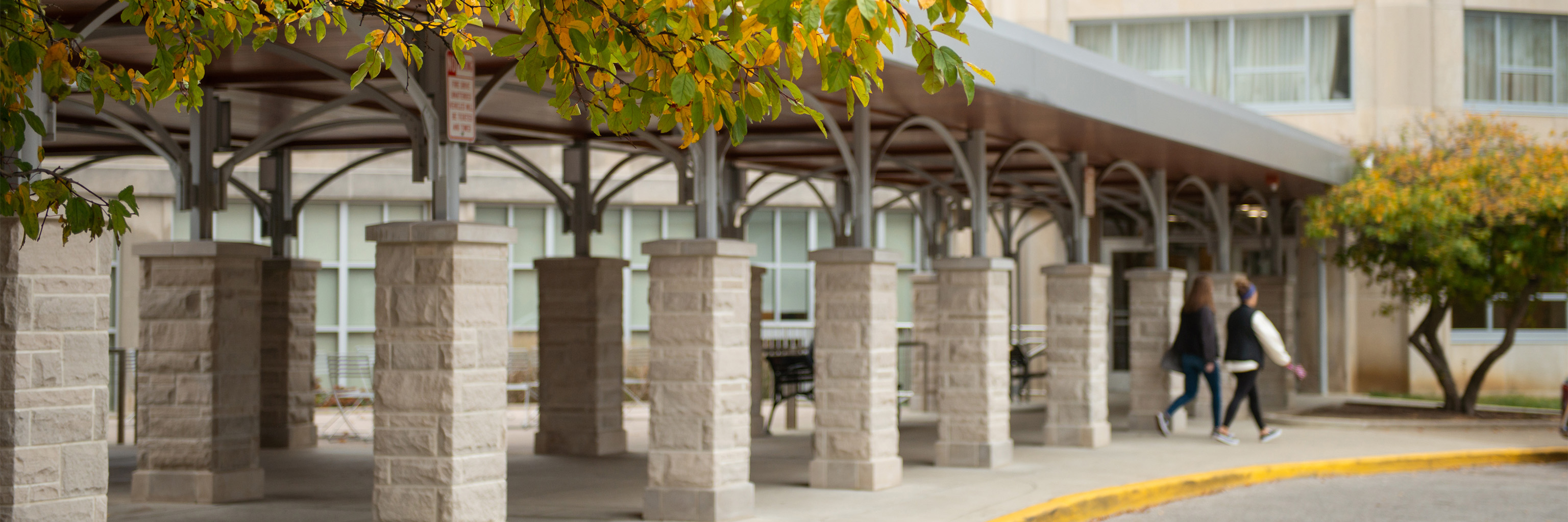 旁边的路径覆盖圆开车以外的森林四边形。