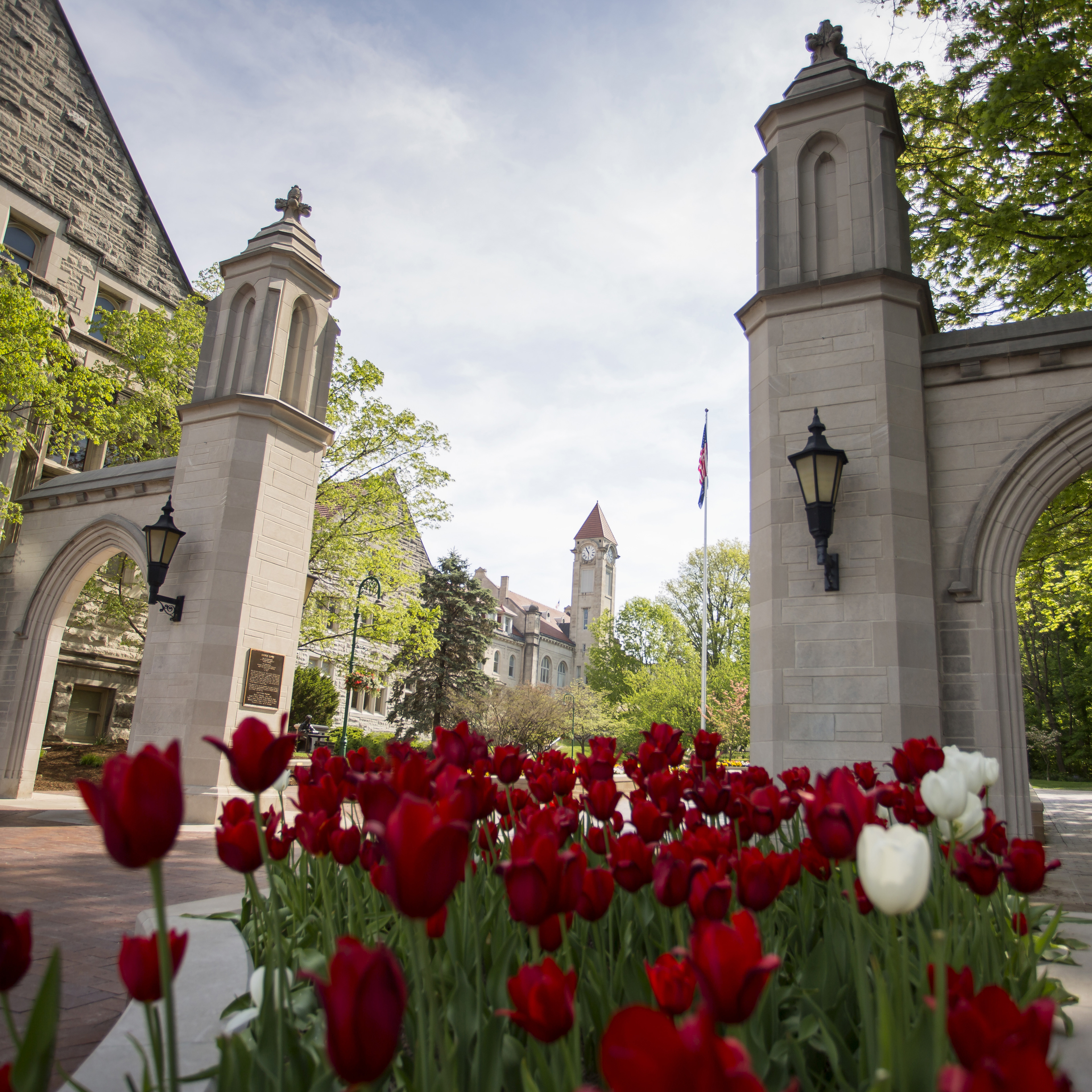 当有人使用辅助技术浏览时，会出现此文本。