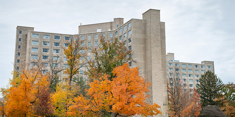 森林四边形的外部视图。