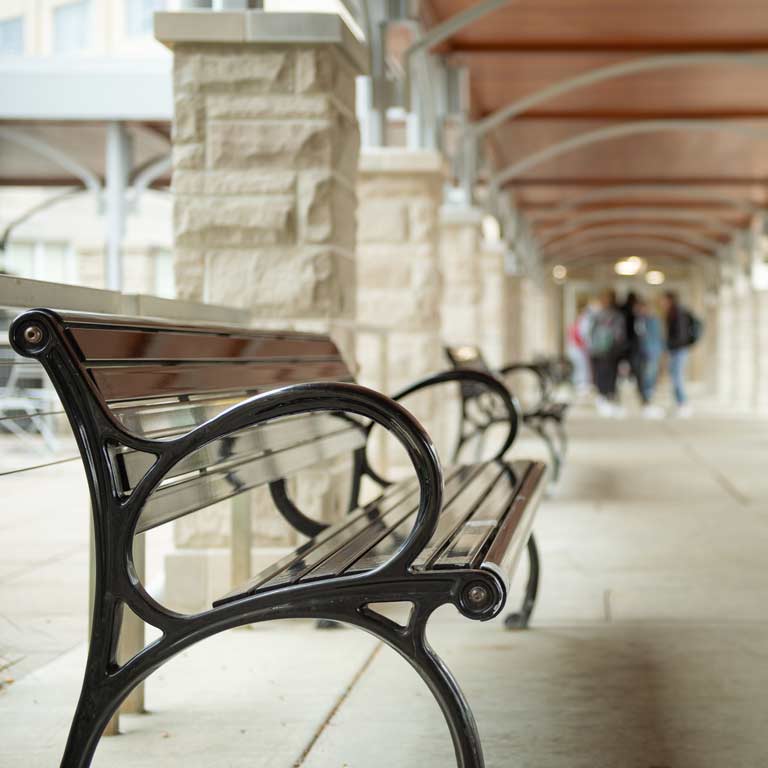 近距离外的长椅上森林四边形。