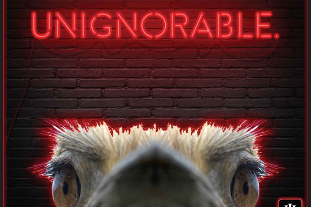 Instagram的模型。鸵鸟头出现在这个词