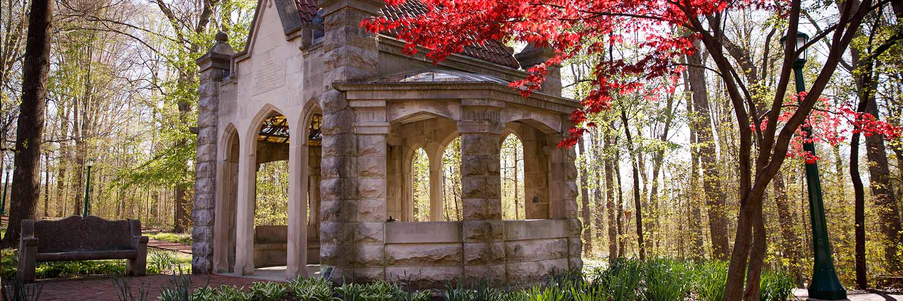 在一个春日的玫瑰好房子